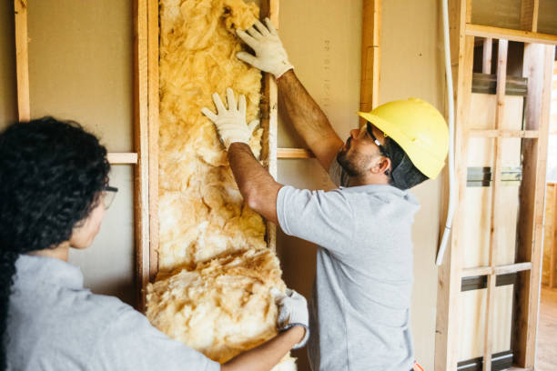 Best Insulation for Commercial Buildings  in Soh Ogden, UT